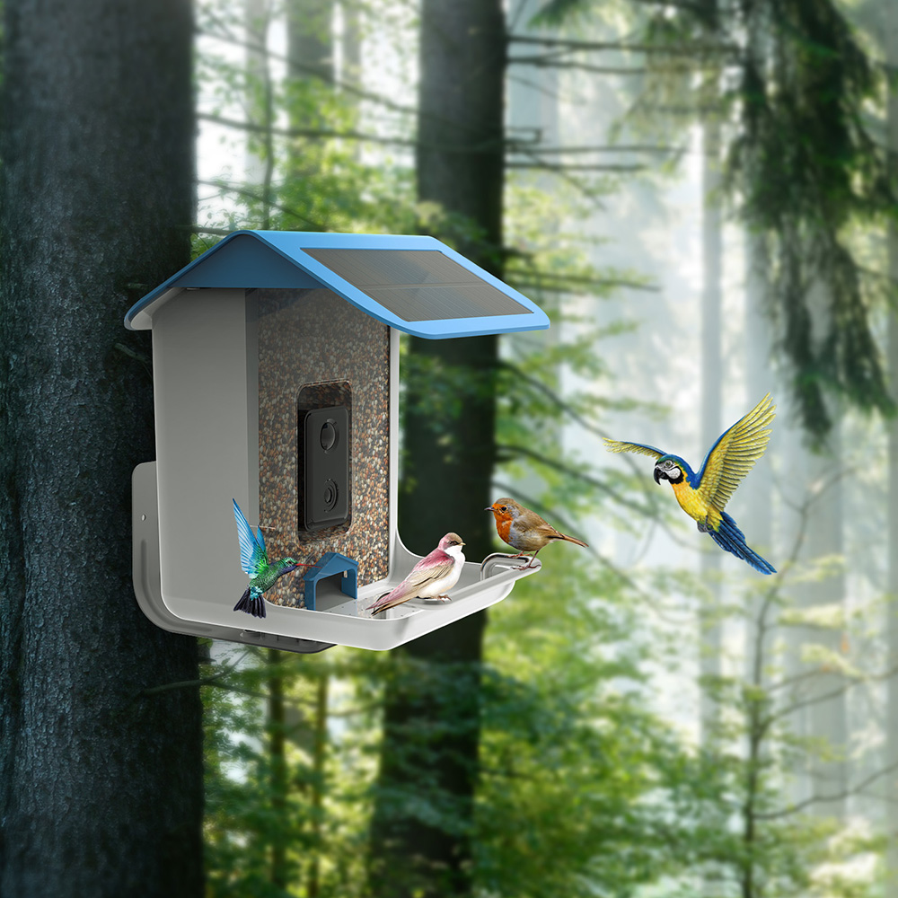 STLFNew Trend Smart Bird Feede - Solar Panel recensione e prezzo