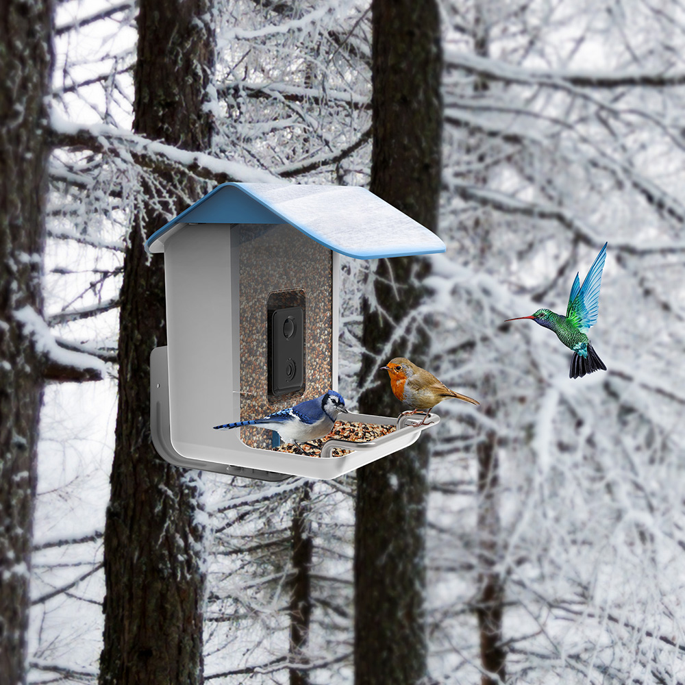 STLFNew Trend Smart Bird Feede - Solar Panel recensione e prezzo